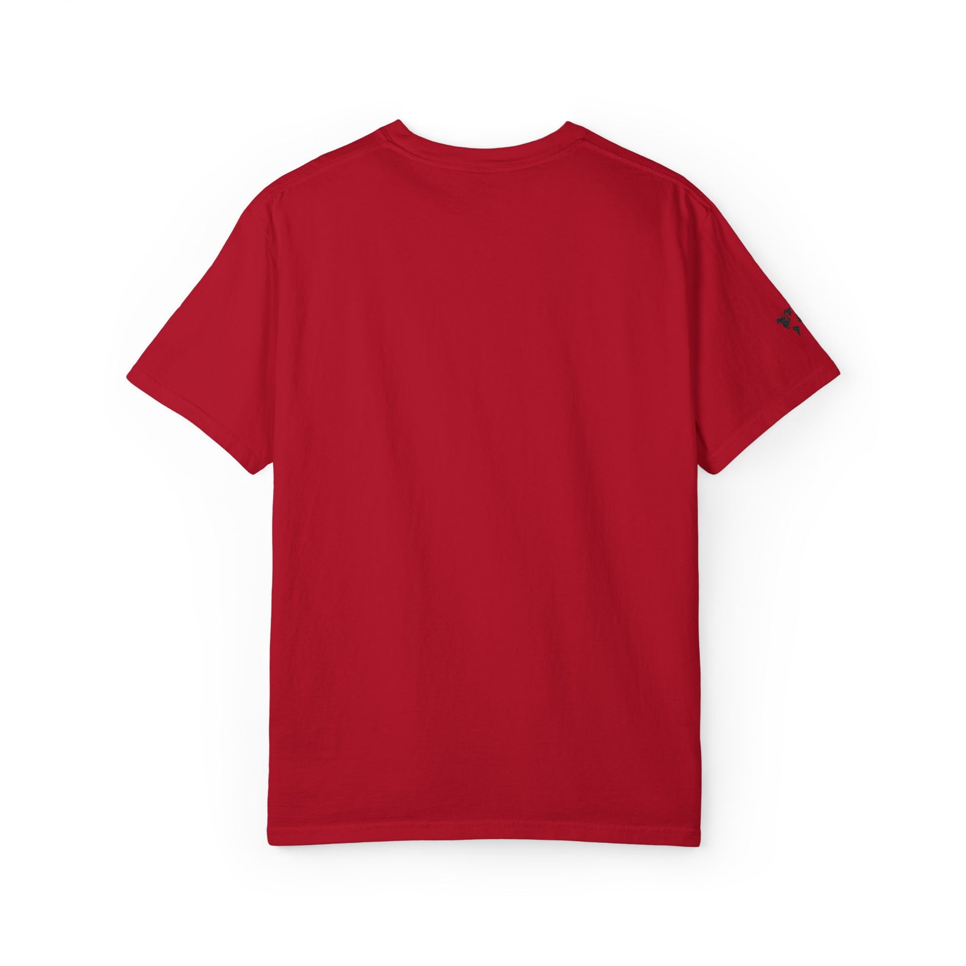 Garment-Dyed T-Shirt, Soft Casual Tee, Vintage Style Shirt, Earth Day Gift, Unisex Apparel, Everyday Wear
